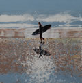 Lone Surfer, North Cornwall Beach.