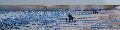 Sparkling Estuary, Winter Walk, Nr Rock, Cornwall