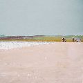Memories of a Winter Walk, Polzeath, Cornwall