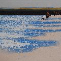 Colours of the Estuary, Near Rock, Cornwall. Original Painting or Print Available.
