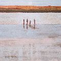 Winter Light, Camel Estuary, Cornwall