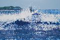 Polzeath - surfer off the lip. Original Painting Available - Print Unavailable.