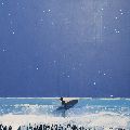 Starry, Starry Night, Lone Surfer, Cornwall