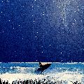 Starry, Starry Night, Lone Surfer, Cornwall. 