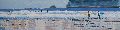 Winter Surfers, Hayle Bay, Polzeath, Cornwall