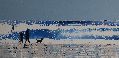 Tide Turning, Late Summer Walk, Beach at Constantine, Cornwall