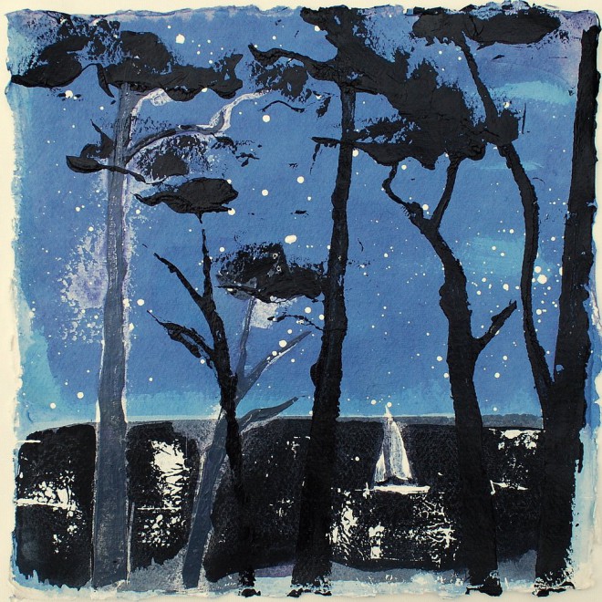 Starry night sail, St. Mawes, Cornwall